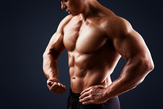 How Creatine Supports Muscle Growth